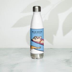Stainless steel water bottle
